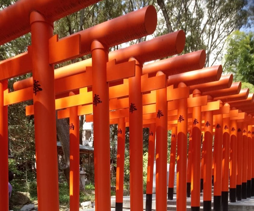 cropped-Japanisches-Tor-Datenschutz-e1588502974555.jpeg