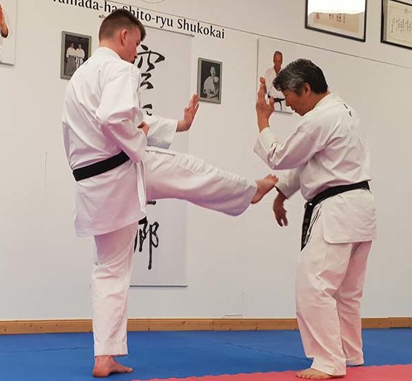 cropped-Kamohara-Max-Tritt-1.jpg
